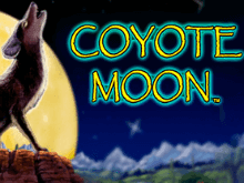 Coyote Moon