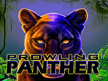 Prowling Panther